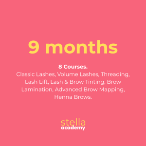 The Lash & Brow Mastery Programme