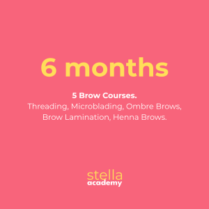 The Complete Brow Artist Programme