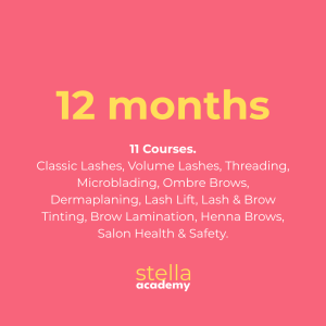 The Stella Master Artist Programme